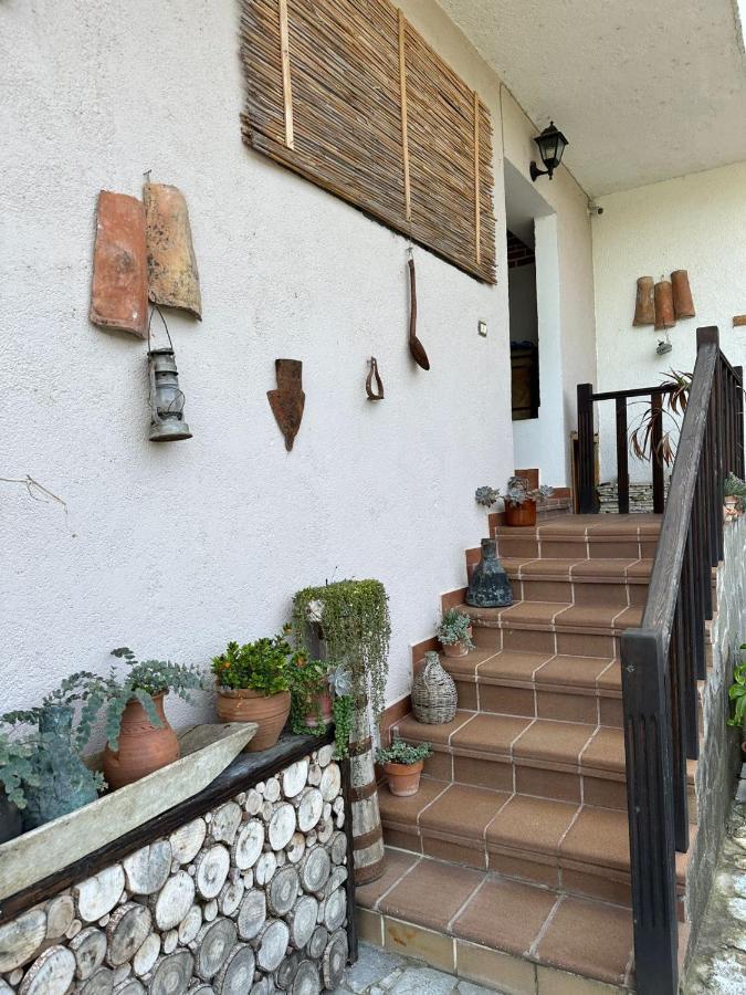 Bed & Breakfast Local Living Edi Berat Kültér fotó